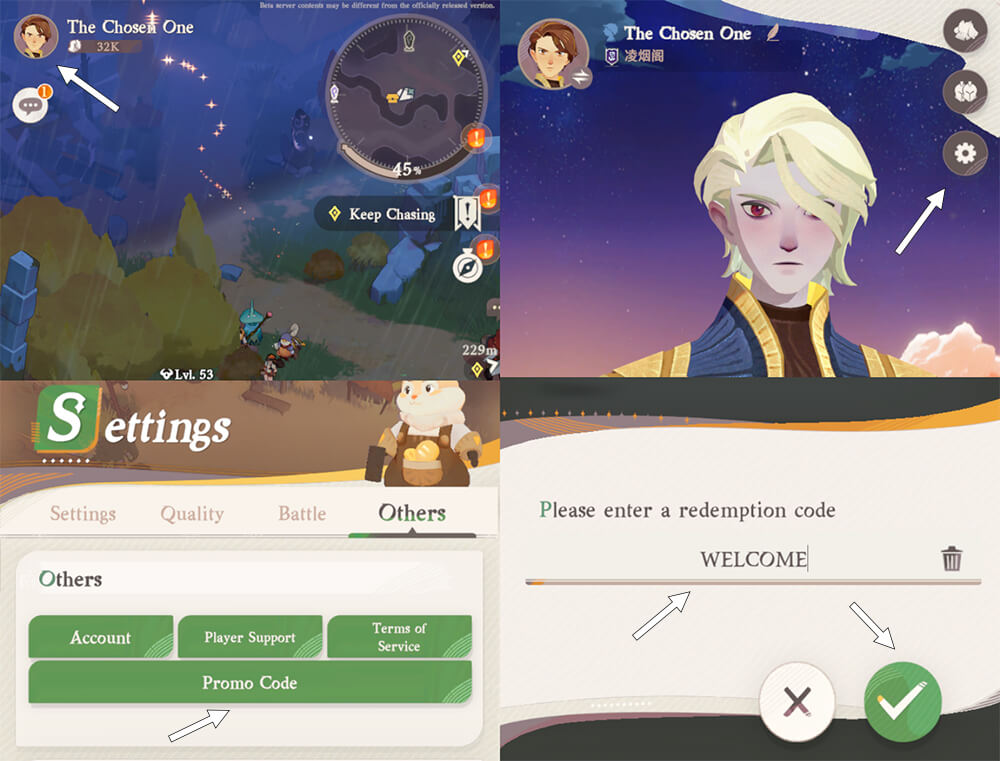 AFK Journey in-game settings menu showing the promo code redemption input field