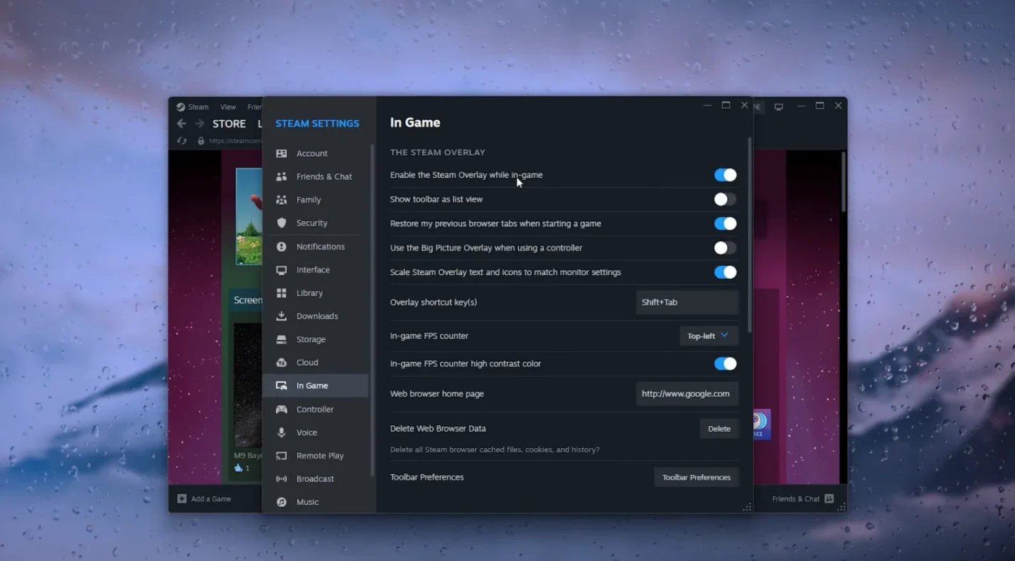 Steam in-game overlay settings screen toggle switch