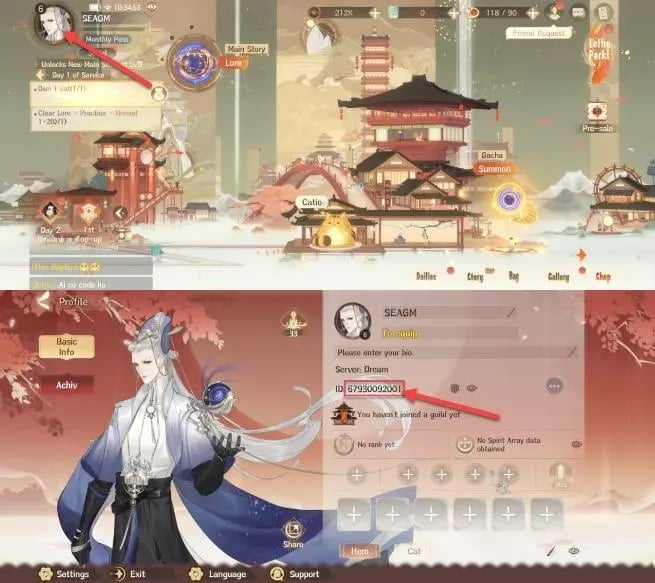 How to find your Dream and Lethe Record GOLD Top Up UID
