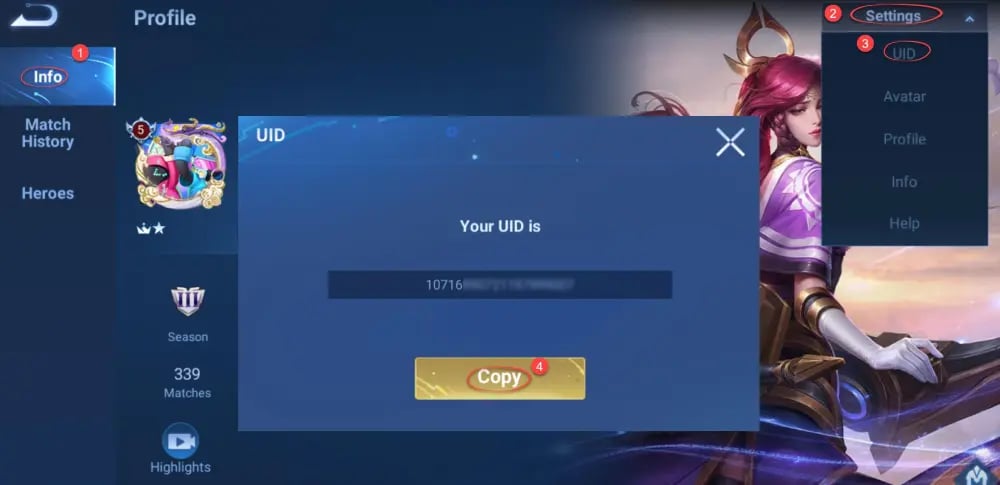 How to find your Honor of Kings UID