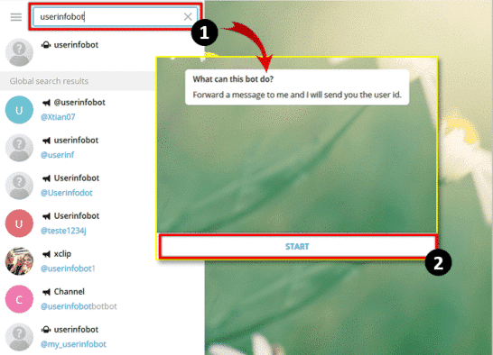 How to find your Tayyb Chat UID
